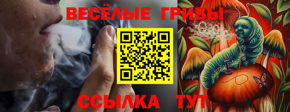 Галлюциногенные грибы мухоморы Елизово